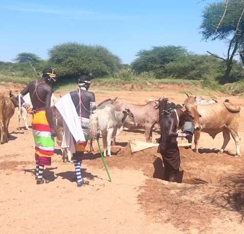 Ewaso Camp