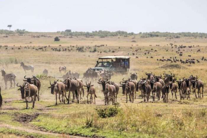 12 Days Across Kenya