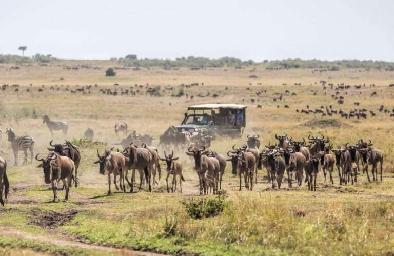 12 Days Across Kenya