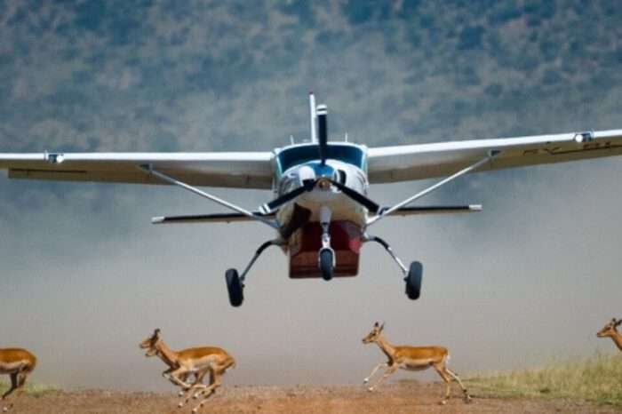 10 Days Flying Safari Amboseli and Northern Kenya