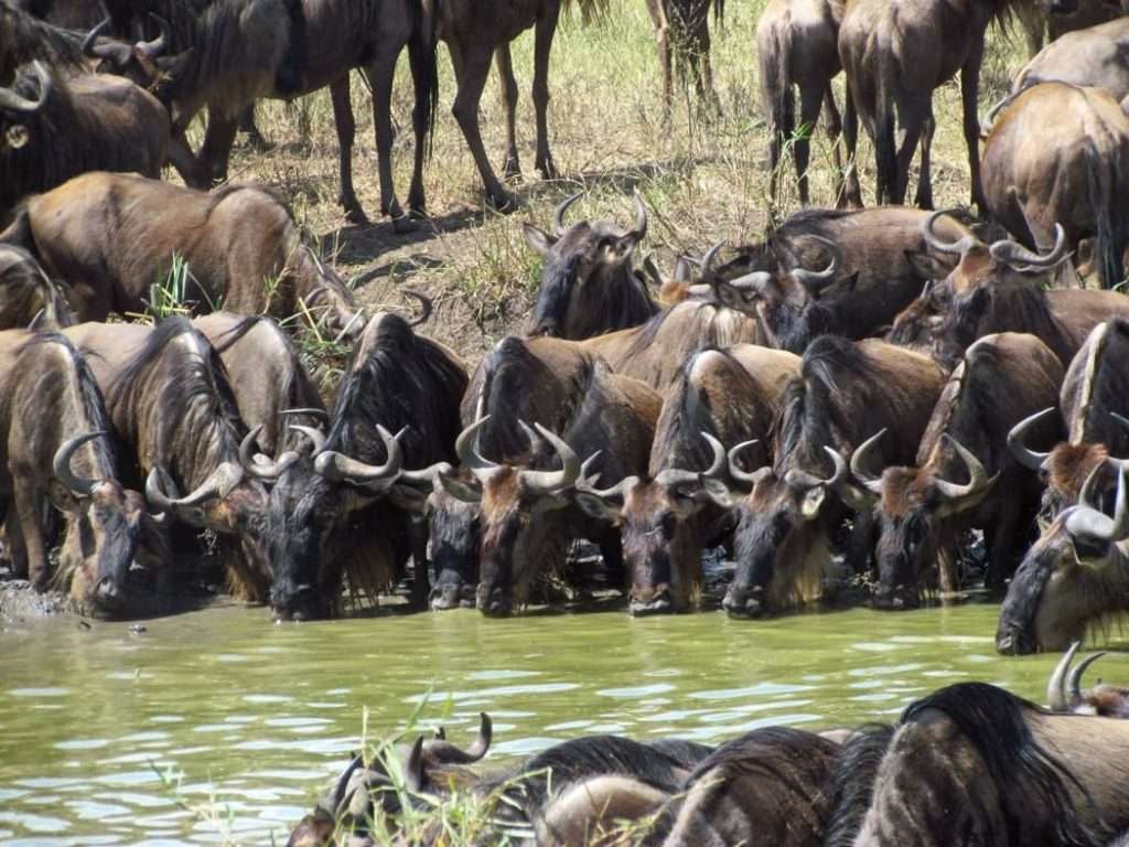 Tanzania