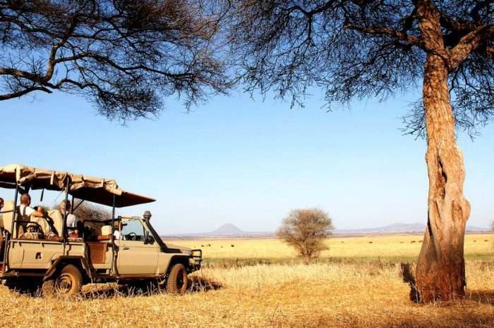 12 Days Tanzania Highlights Safari