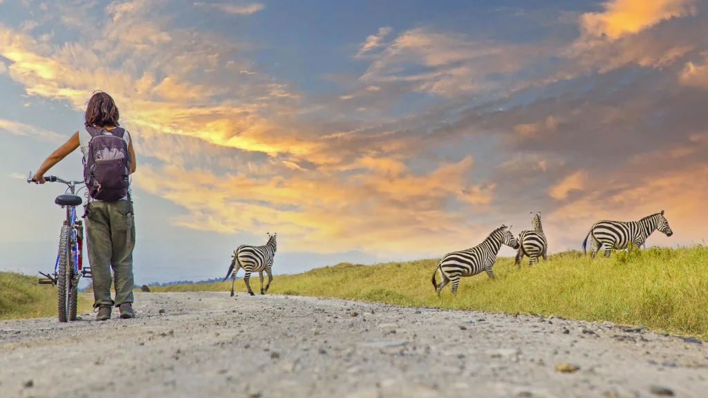 Blue bicycle parked on a dirt road in Hell's Gate National Park with zebras in the distance.
