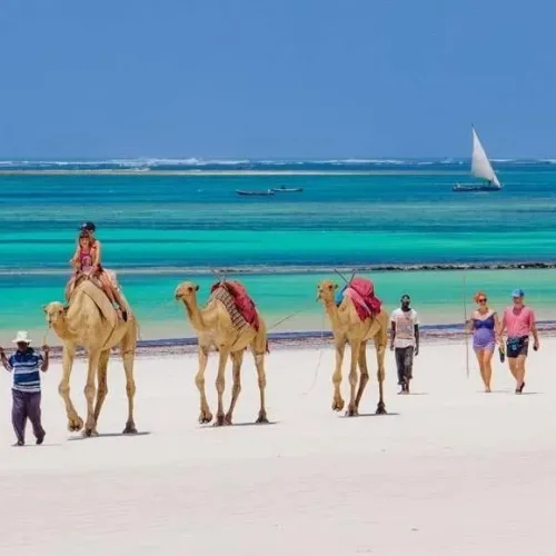 Tourists riding camels along the white sandy beach at Diani Beach, Kenya with turquoise ocean in the background