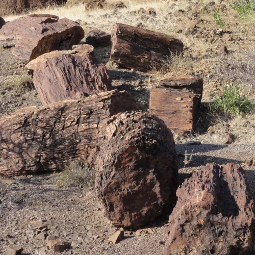 Large dark volcanic rocks scattered across a dry rocky landscape with sparse vegetation