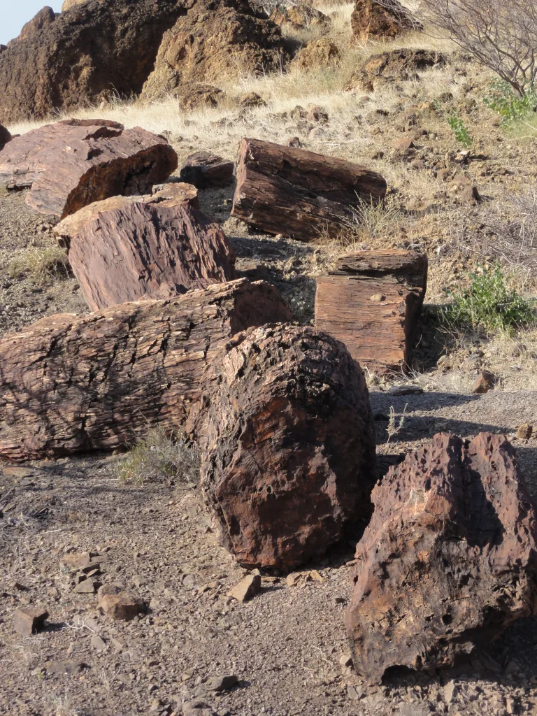 Northern Kenya's Marsabit and Turkana regions 