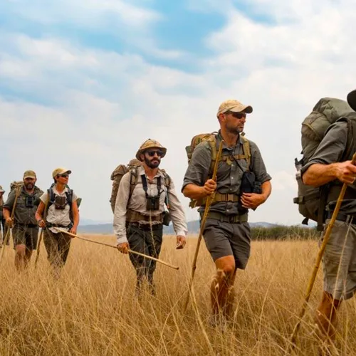 Group of tourists on a guided walking safari through savannah grassland with backpacks and walking sticks