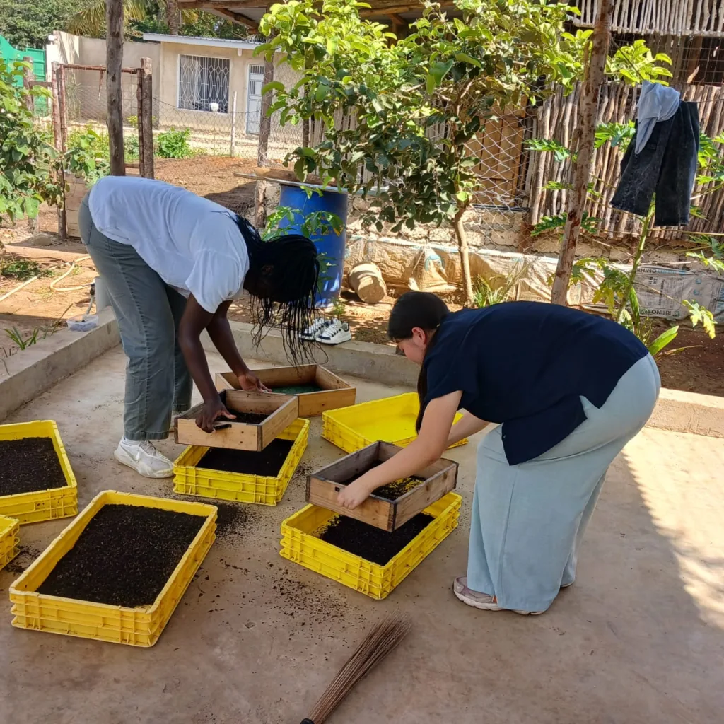 The Heri Kenya Black Fly Project in Diani Beach