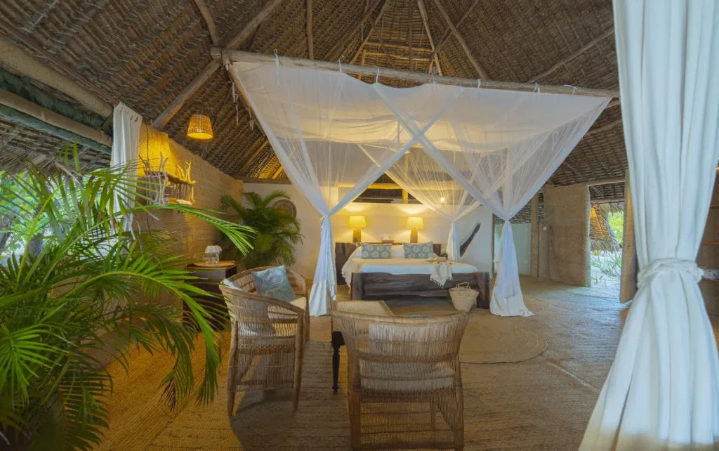 Safari game drive near a giant baobab tree in Manda Bay, Lamu, Kenya