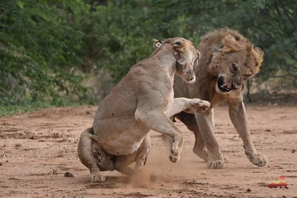 journey into conservation science