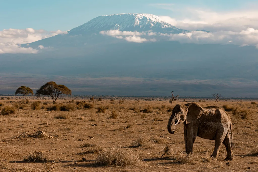 Into Wild West Kilimanjaro: Explore away from the Crowds