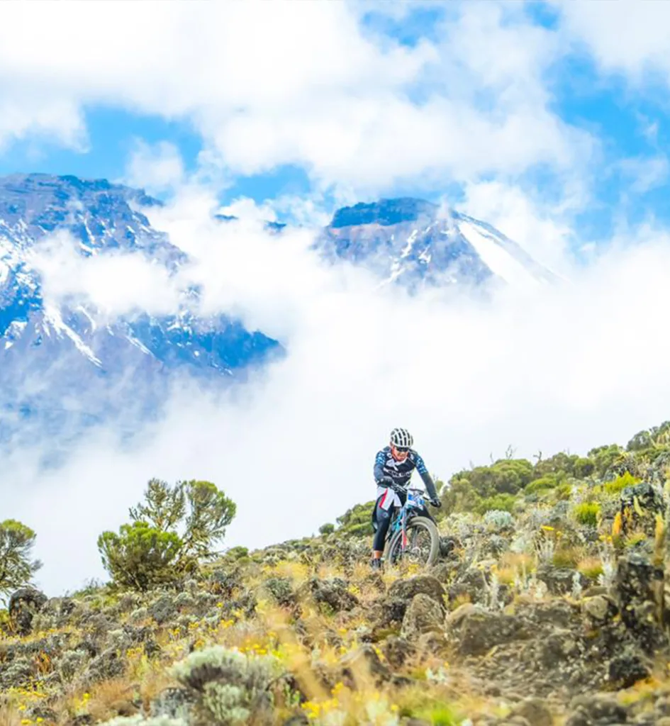 Cycling Adventures