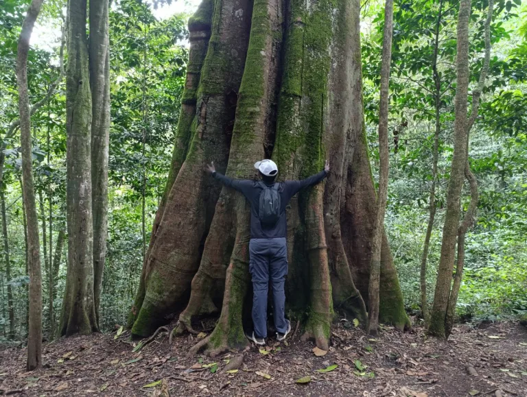 ngangao-forest-one-of-kenyas
