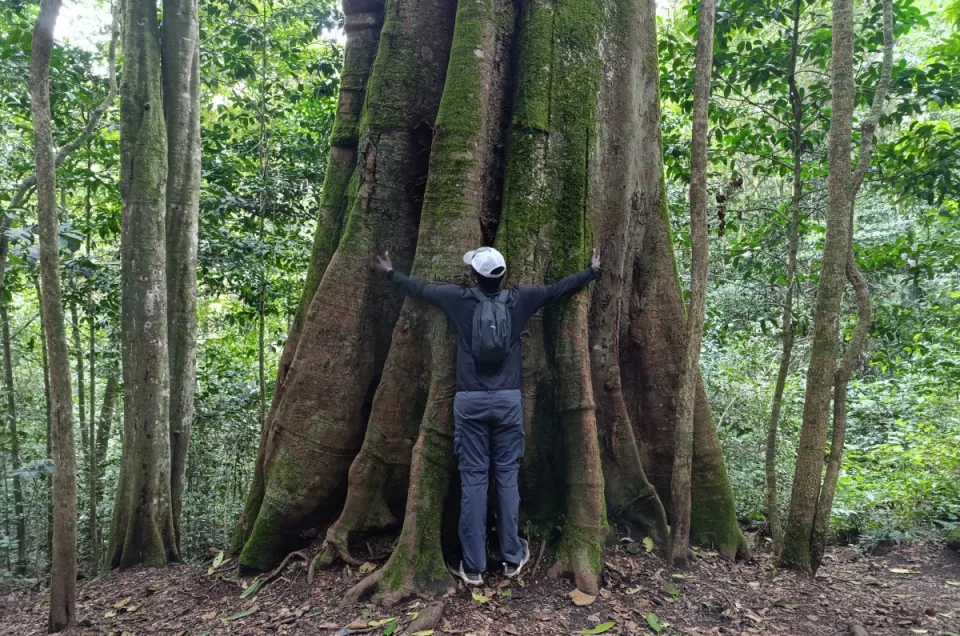 ngangao-forest-one-of-kenyas
