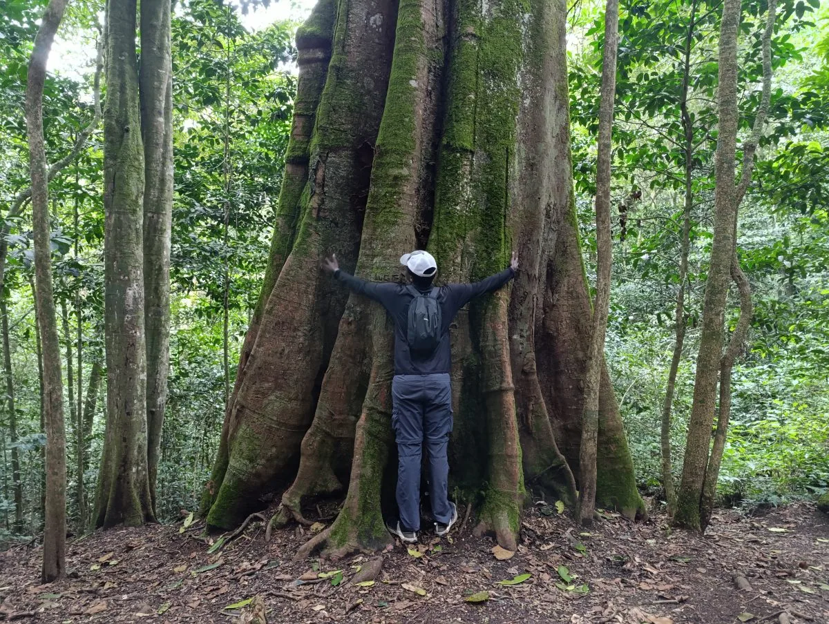 ngangao-forest-one-of-kenyas