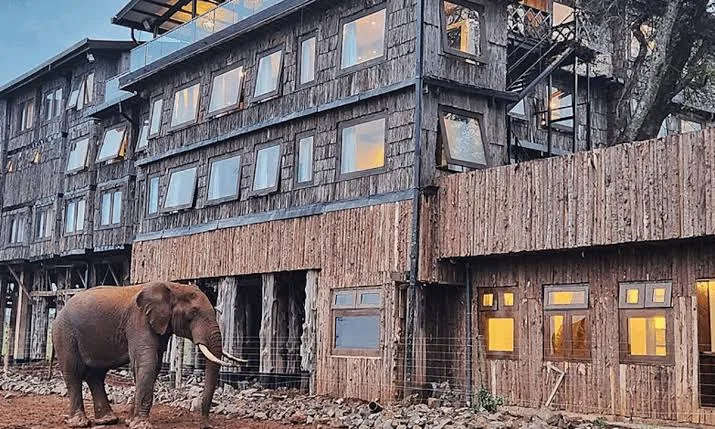 Treetops Hotel
